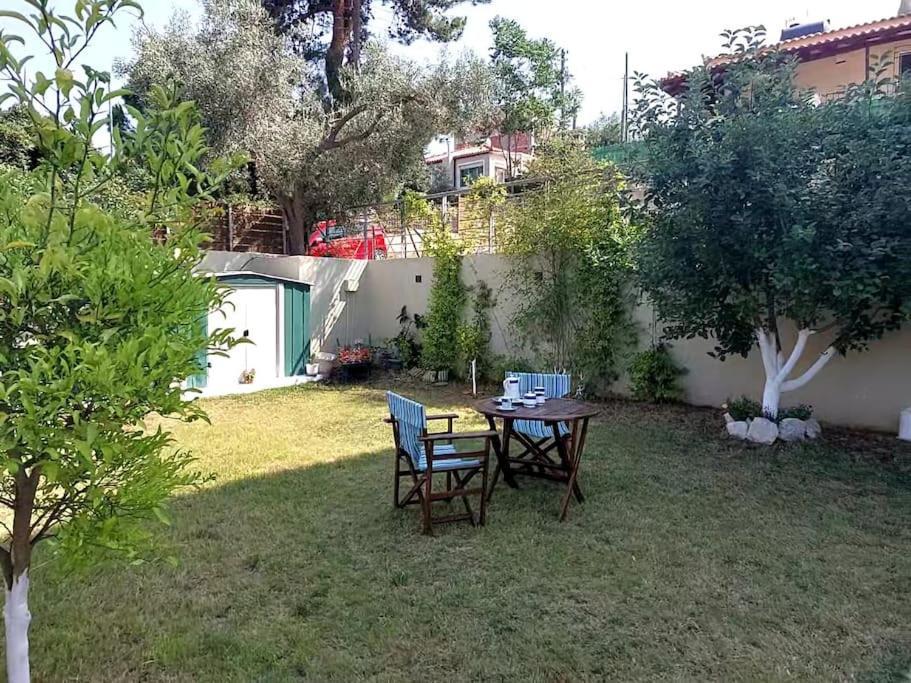 Aurora Studio Lagonissi Лагонисси Экстерьер фото