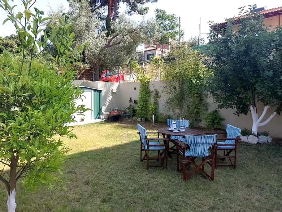 Aurora Studio Lagonissi Лагонисси Экстерьер фото
